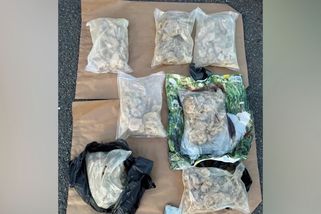 Žalobci poslali k soudu gang výrobců nebezpečných syntetických drog - Novinky